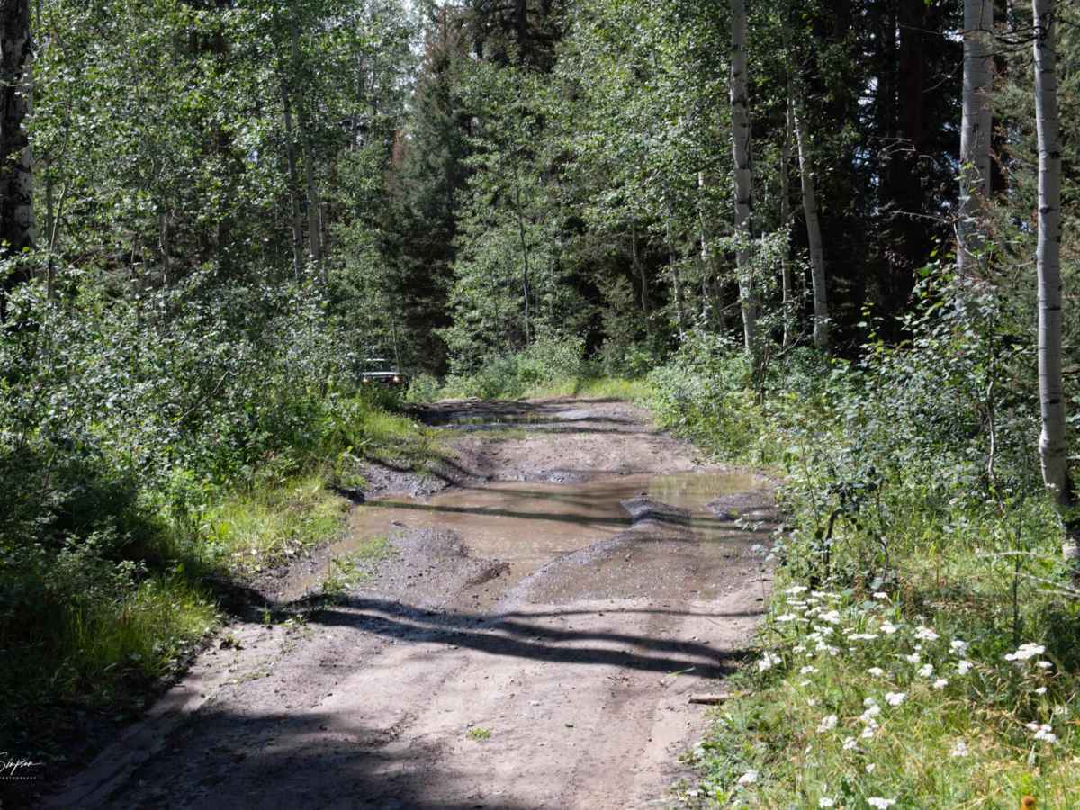 Ellington Creek Road/ FR 128 photo 2