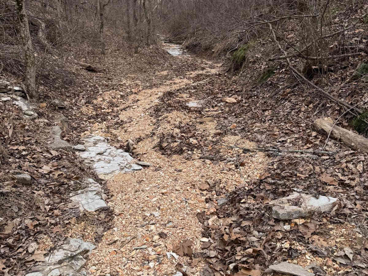 Chicken Trail 439 photo 4