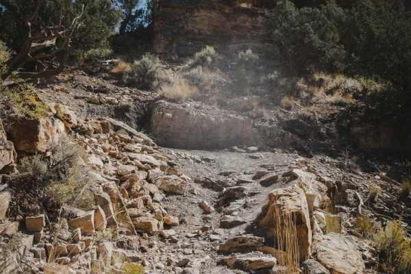 Lower Spring Creek Trail