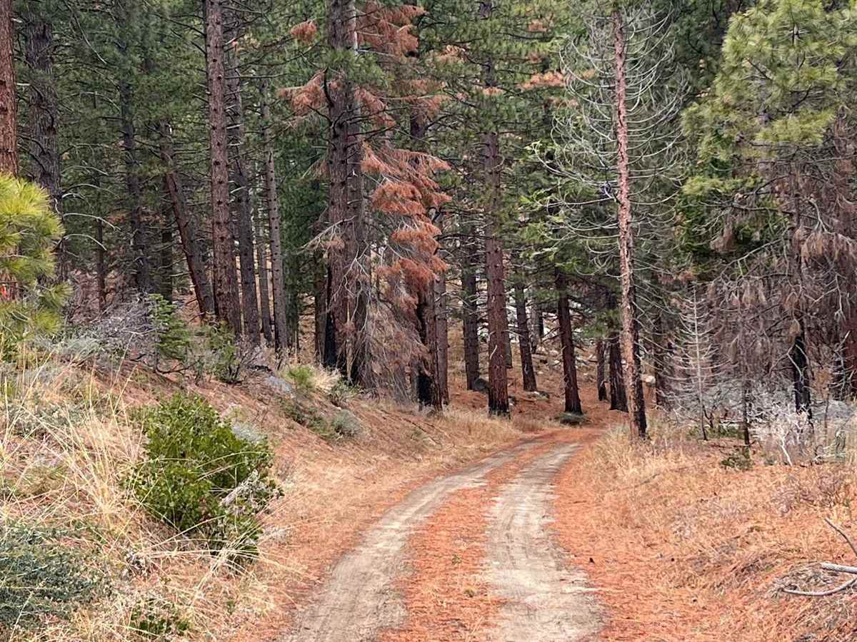Eagle Rock photo 6