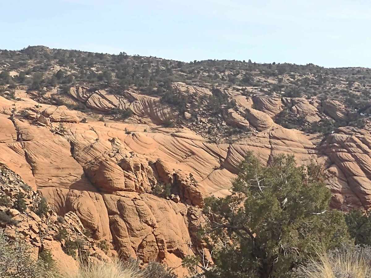 Leeds-Cottonwood Elephant Skin Canyon photo 6