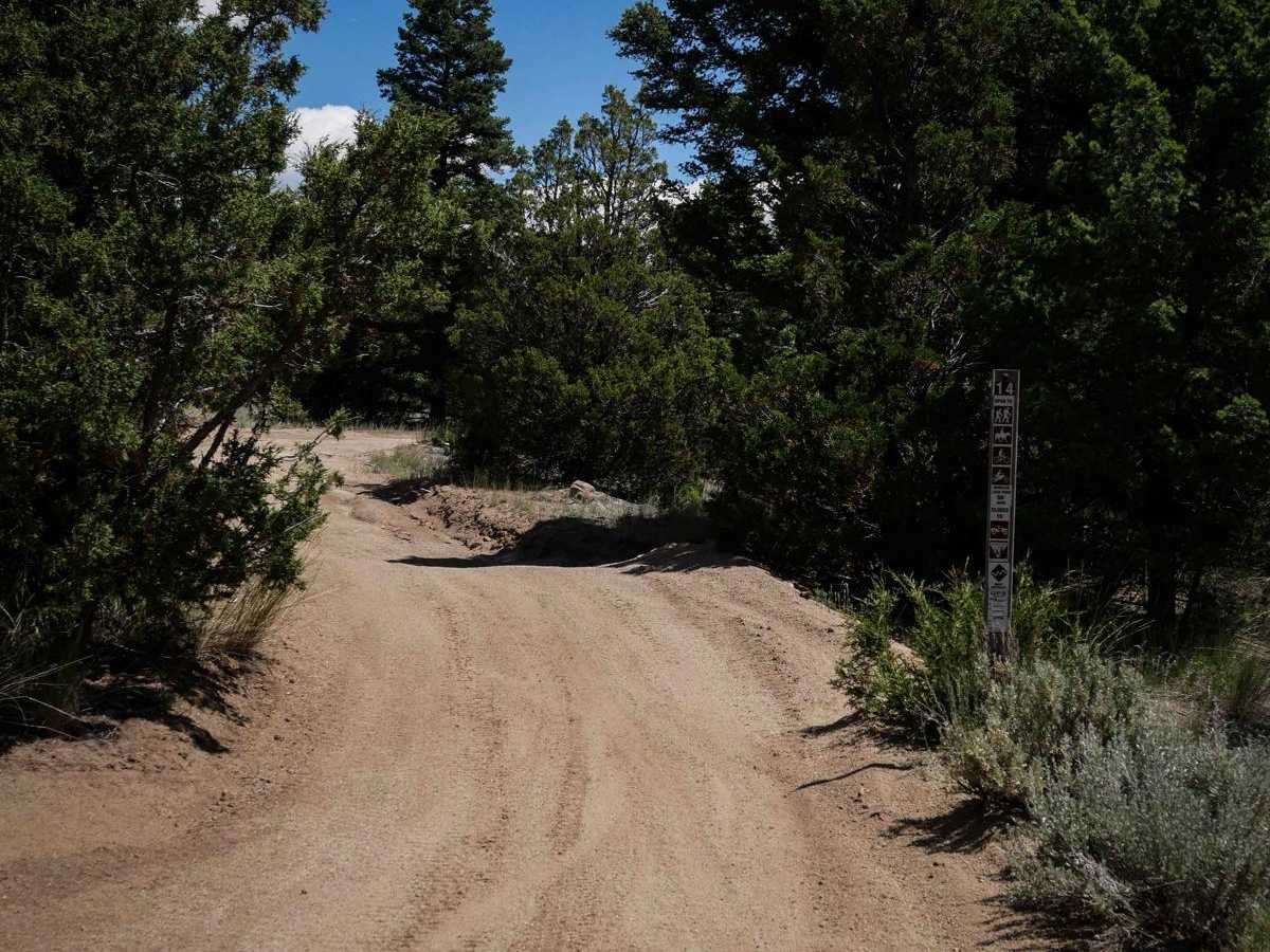 BLM 14 photo 6