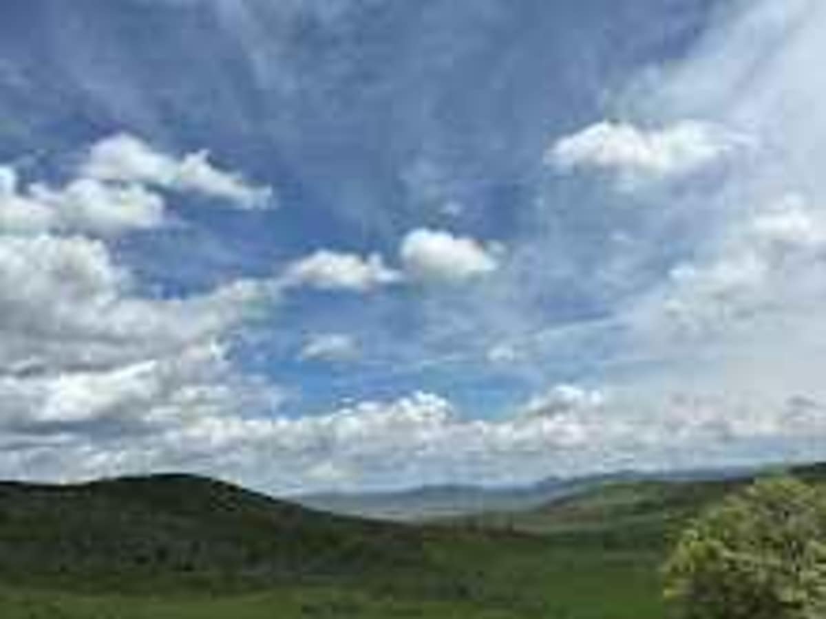 Razorback Ridge photo 2