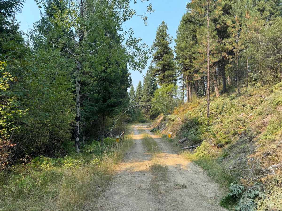 Chaffin Creek Hart Gulch photo 2