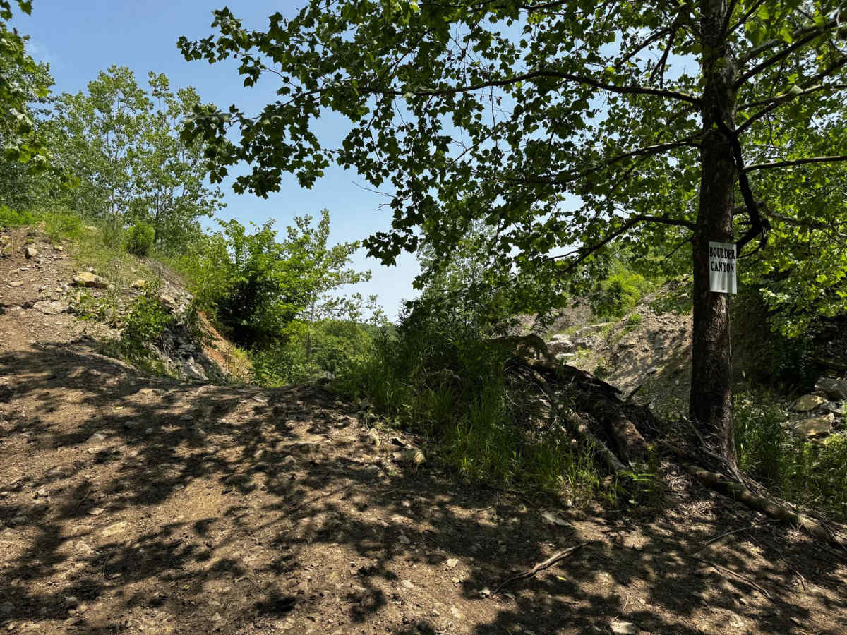 Boulder Canyon 68 photo 5