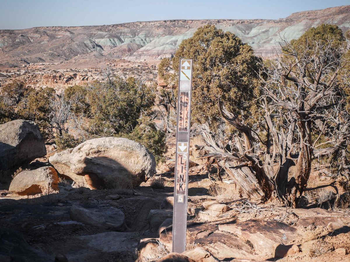 Link 5 trail photo