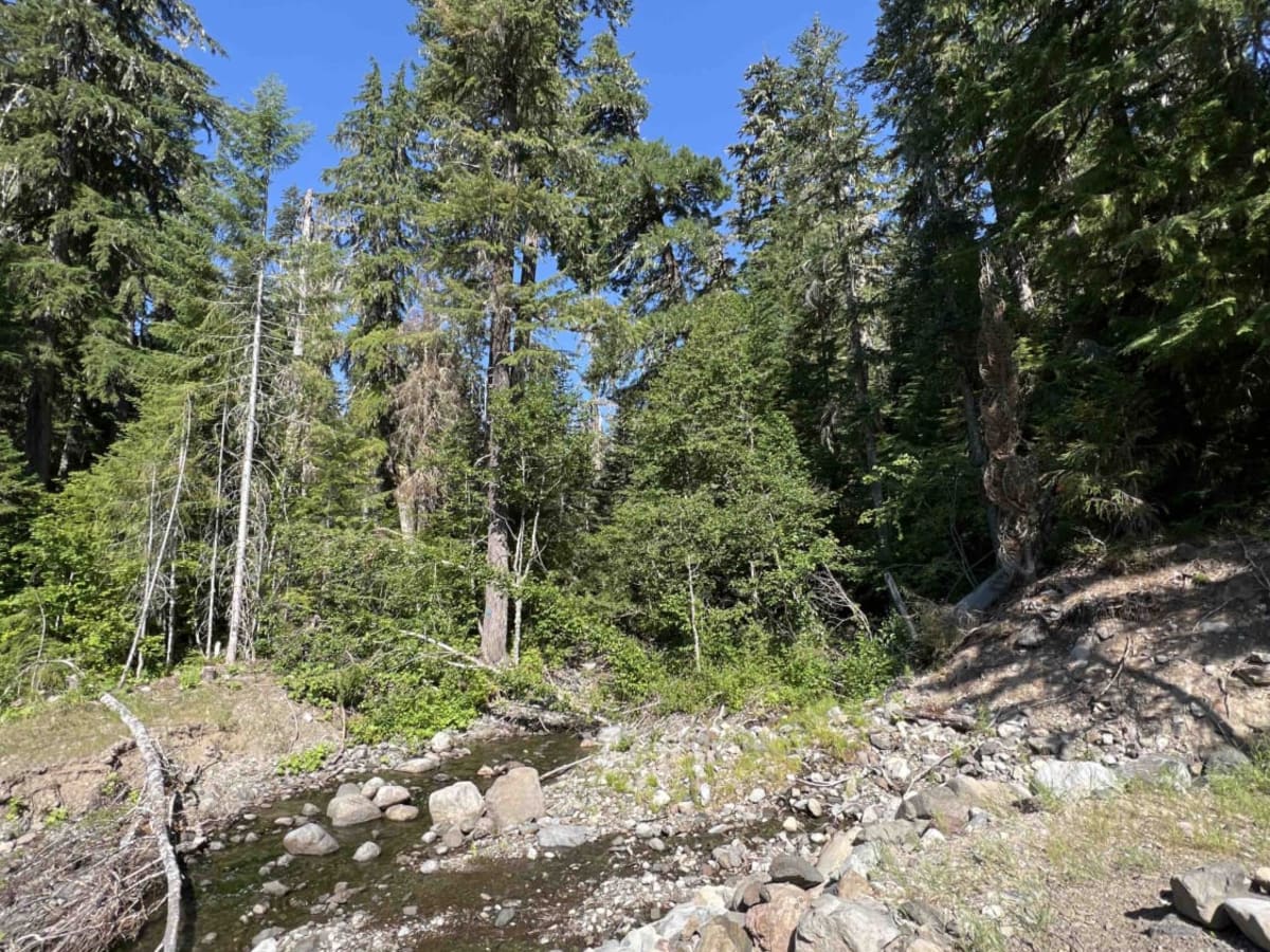 Fisher Point 1164 photo 2
