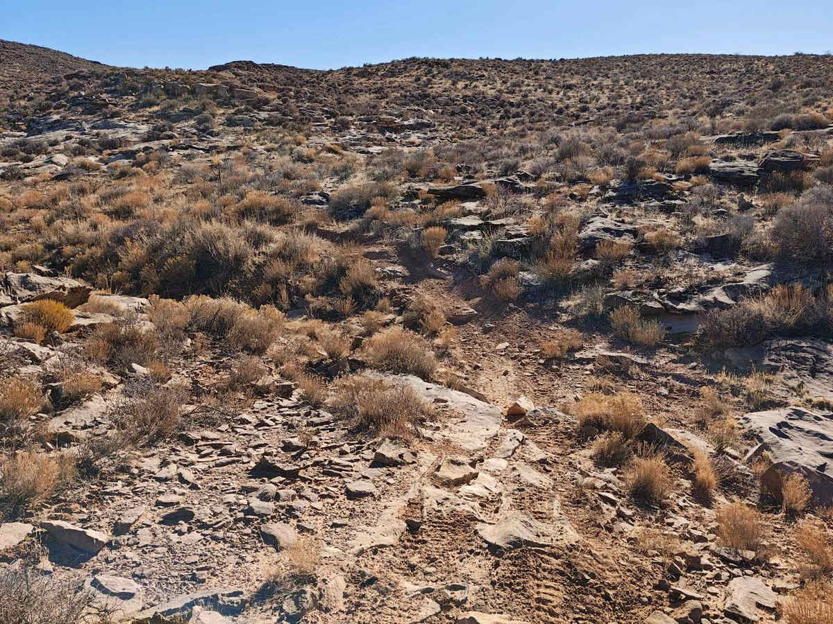 Flat Rock Canyon - Single Track photo 4