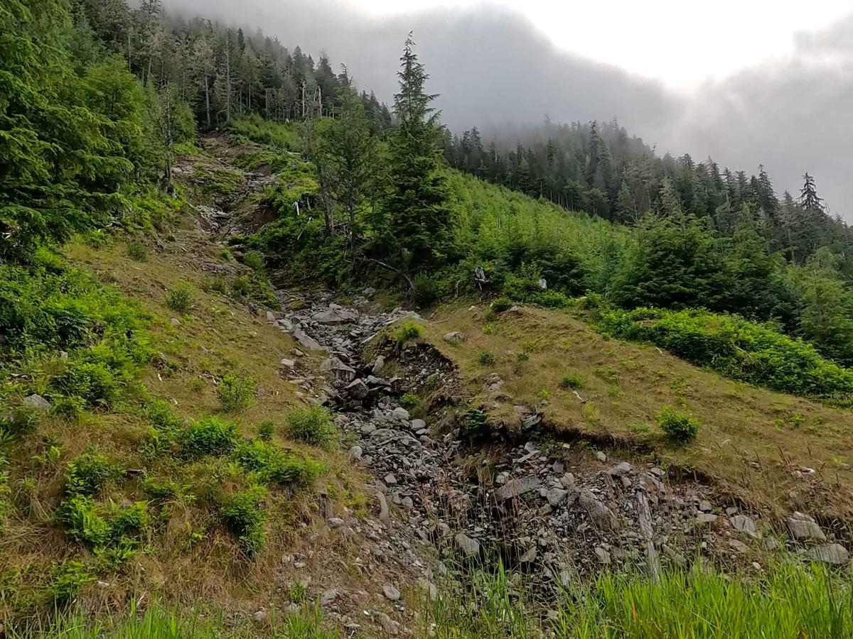 Stumble Creek - 6273 photo 3