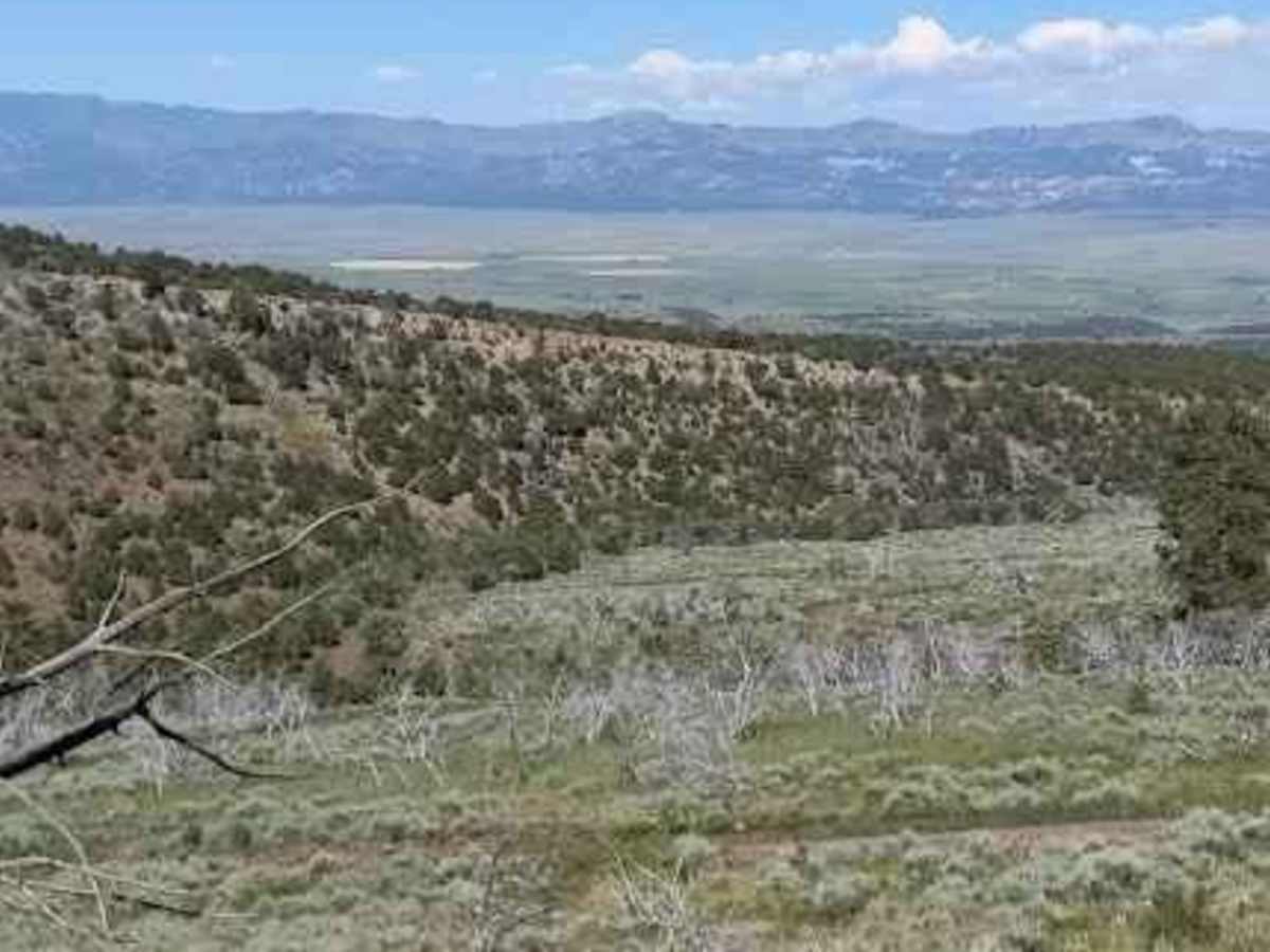 Sandy Caddy Creek Loop photo 6