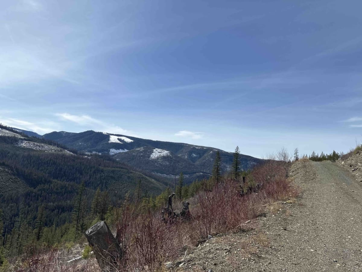 Viewpoint Spur photo 4