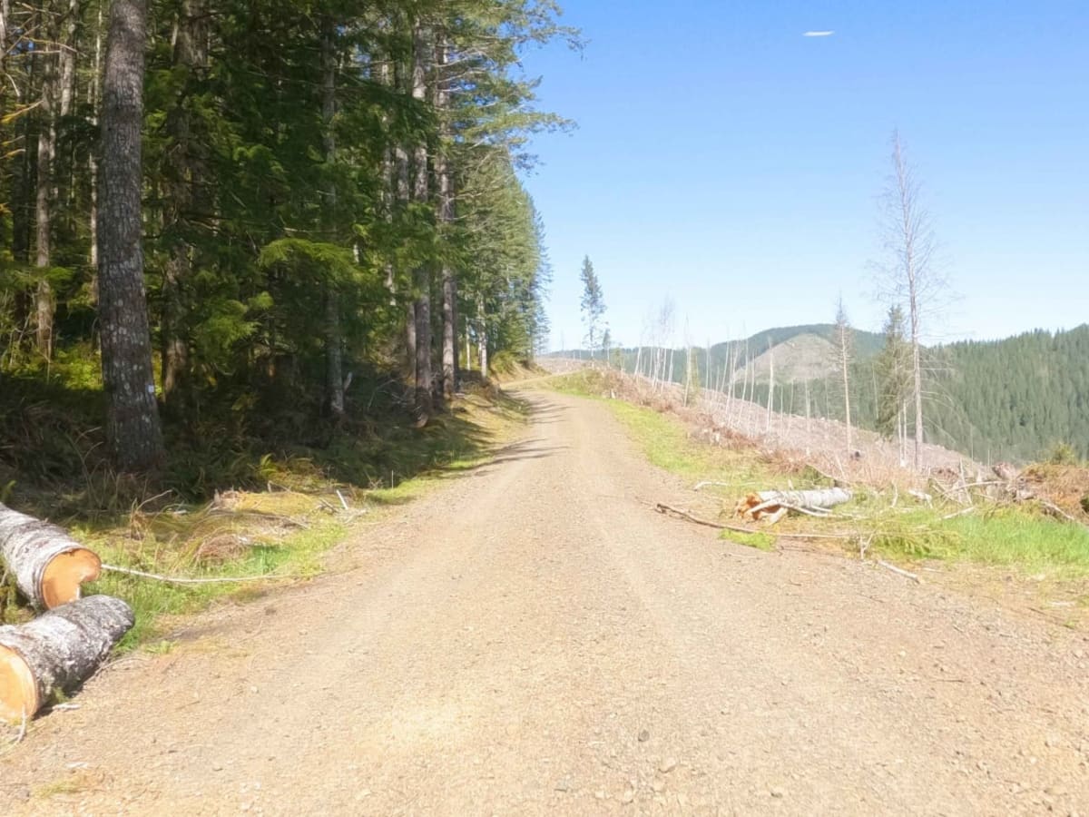Hembre Ridge Road photo 4