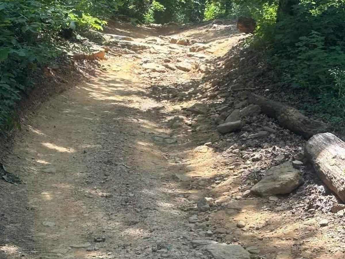 Lindsey Ridge - 1547 trail photo