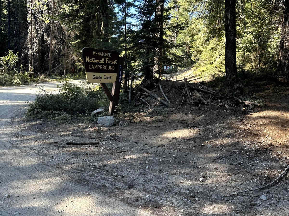 Lower Chiwawa River Road trail photo