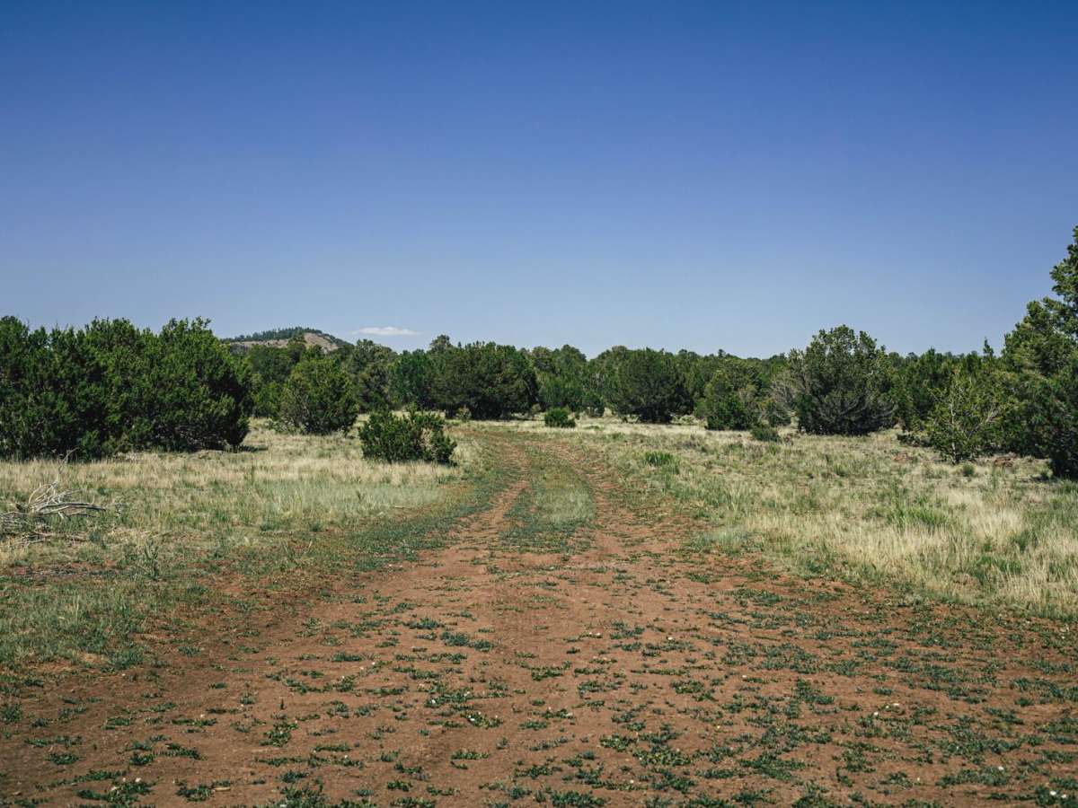 9191s trail photo