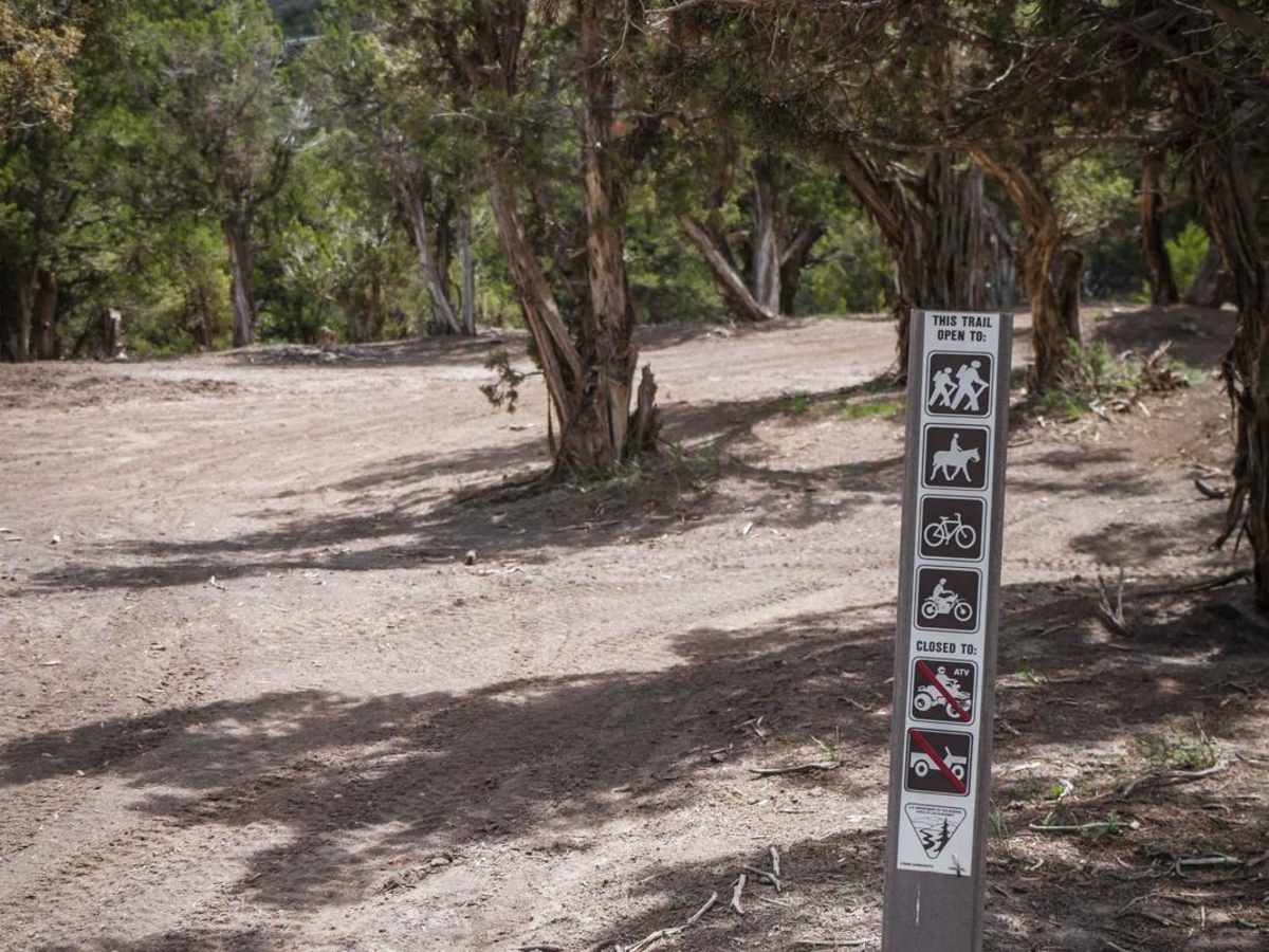 The Maze Trail photo 6