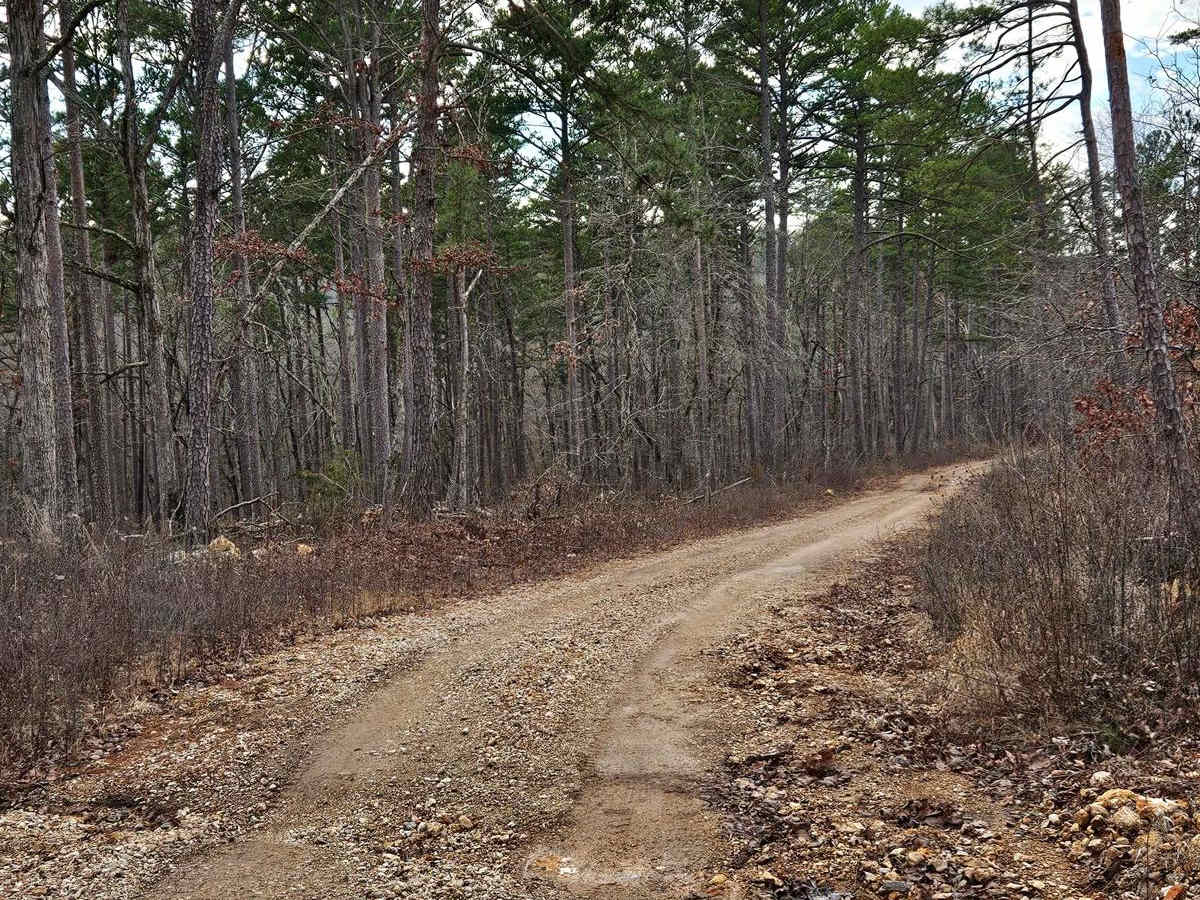 Stringtown Branch - FSR 2550 photo 3