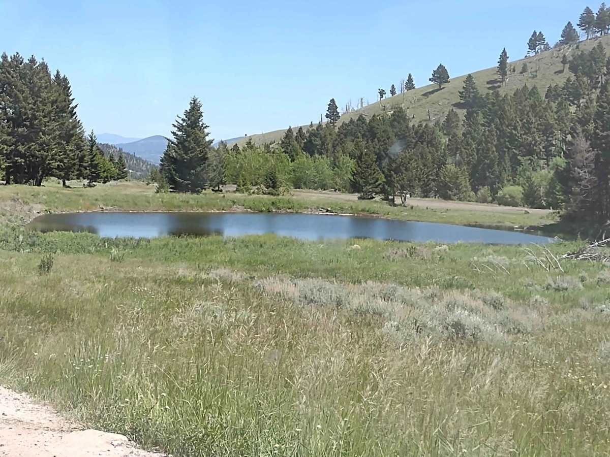 Bluebird Mine Trail Loop photo 2