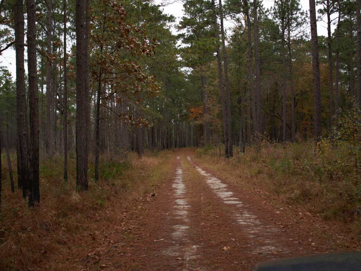 Donnelly WMA PT.1 photo 2