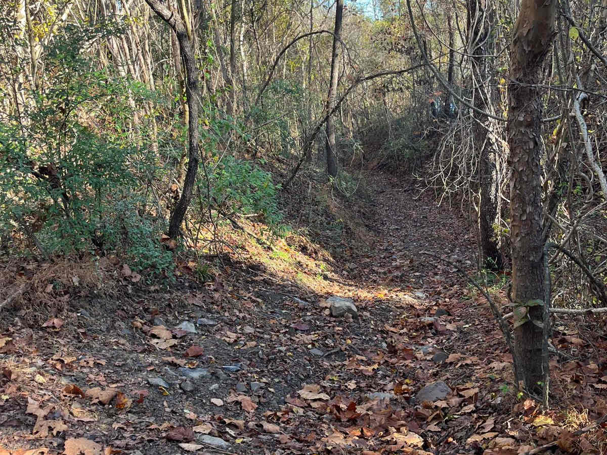 Open Ponds Trail photo 6