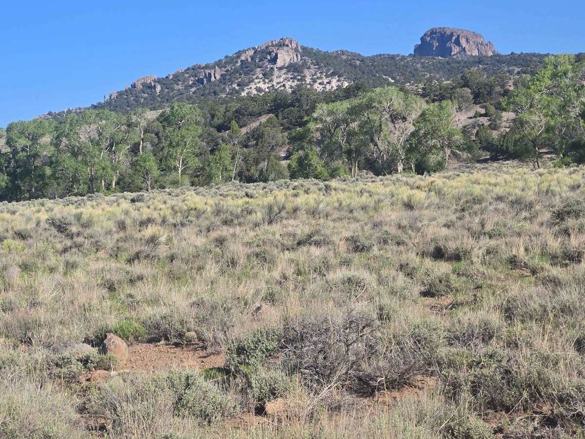 Prospector Trail photo 6