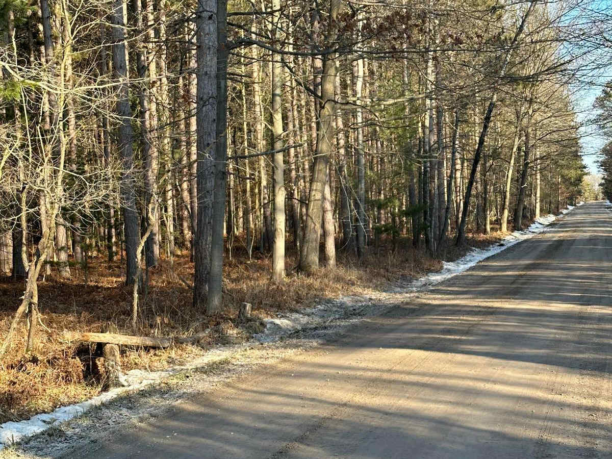 Grass Lake Road photo 5