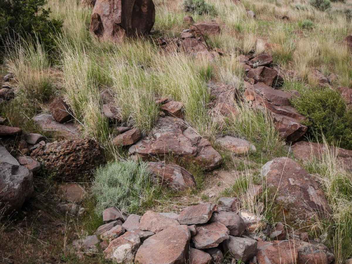 Smitty's Upper trail photo