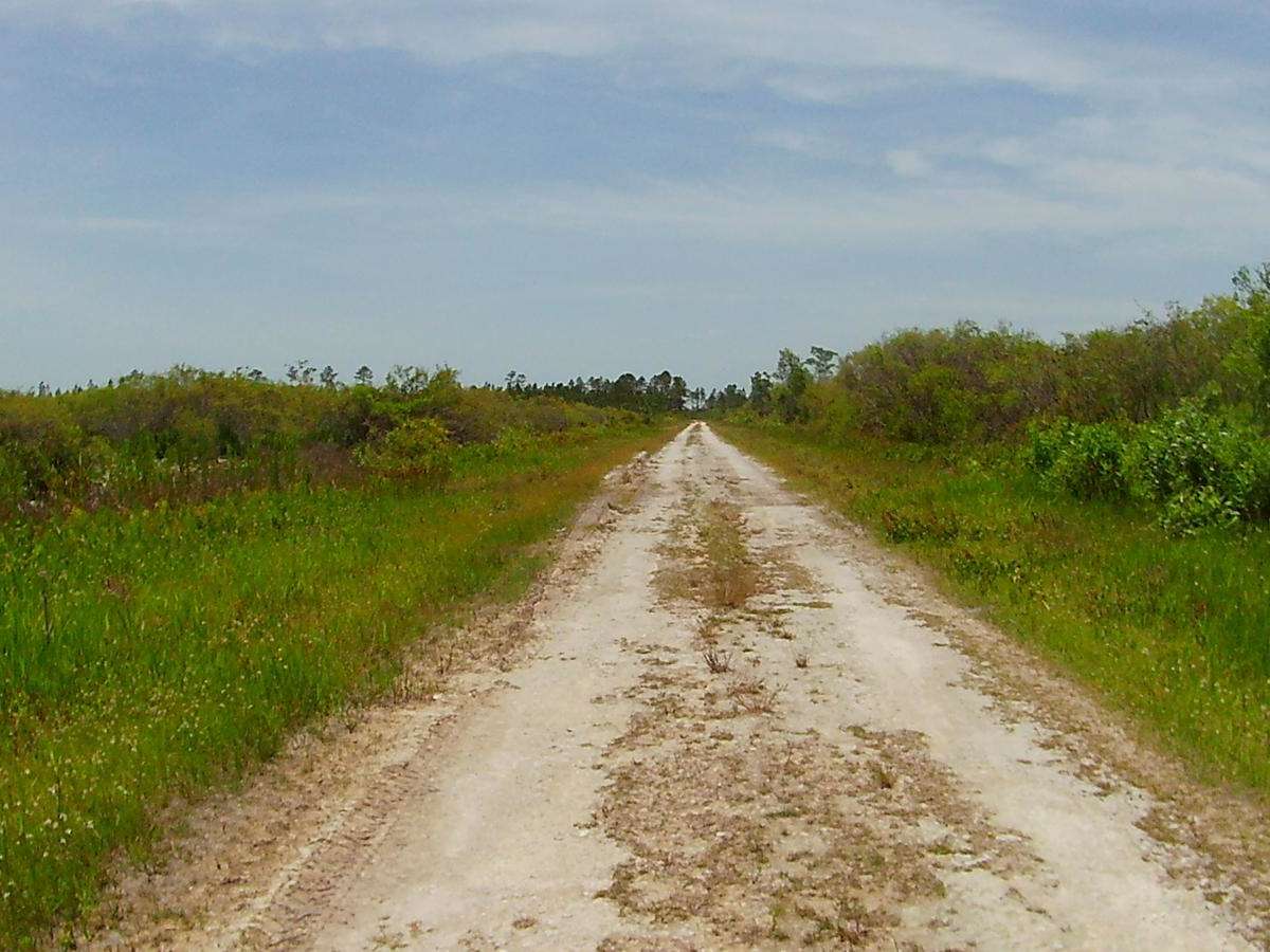 Sandy Road photo 3