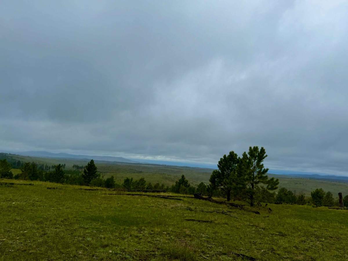 Custer Limestone Road photo 4