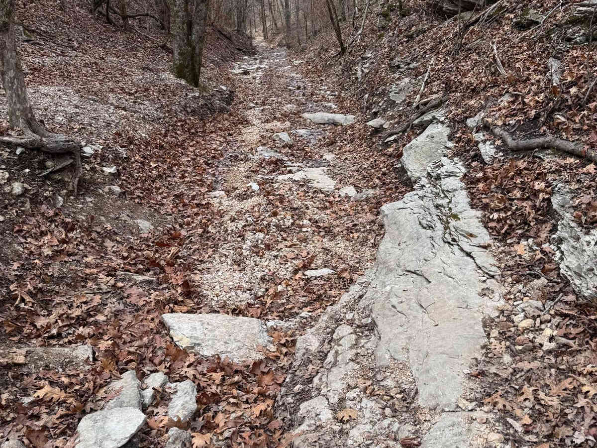 Green 276 trail photo