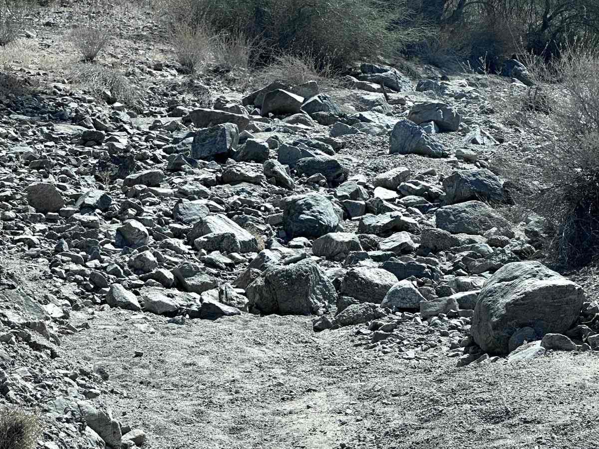 LCR1842 photo 2