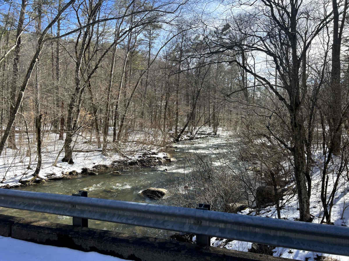 Swapping Camp trail photo