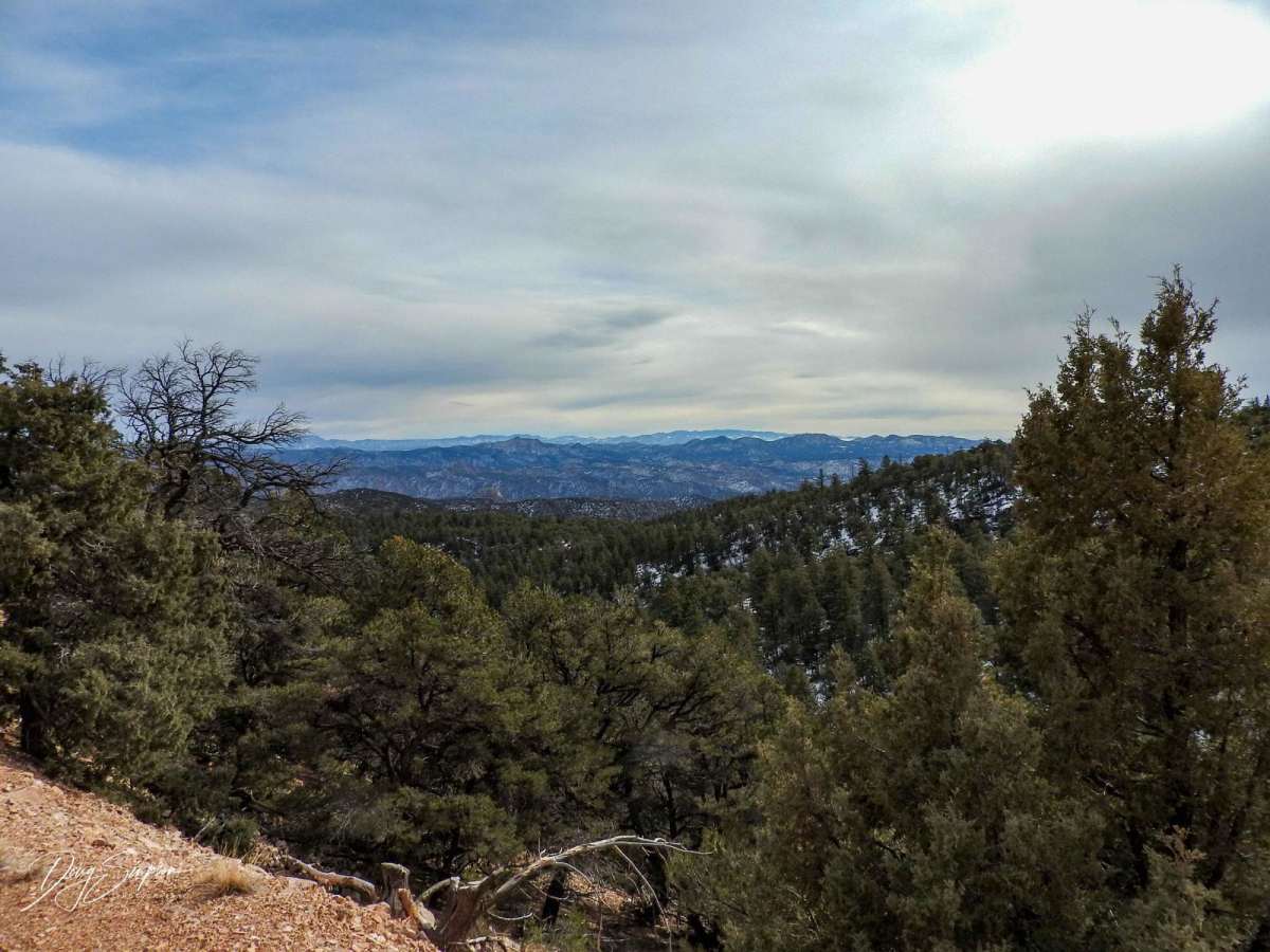 BLM 6012 photo 4