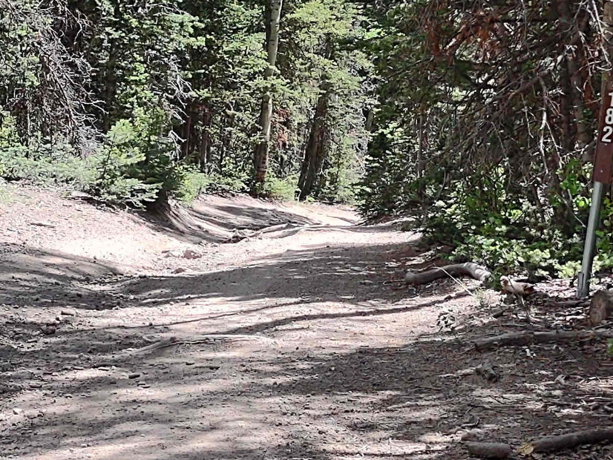Fitzgerald's Park - FS 40182 photo 2