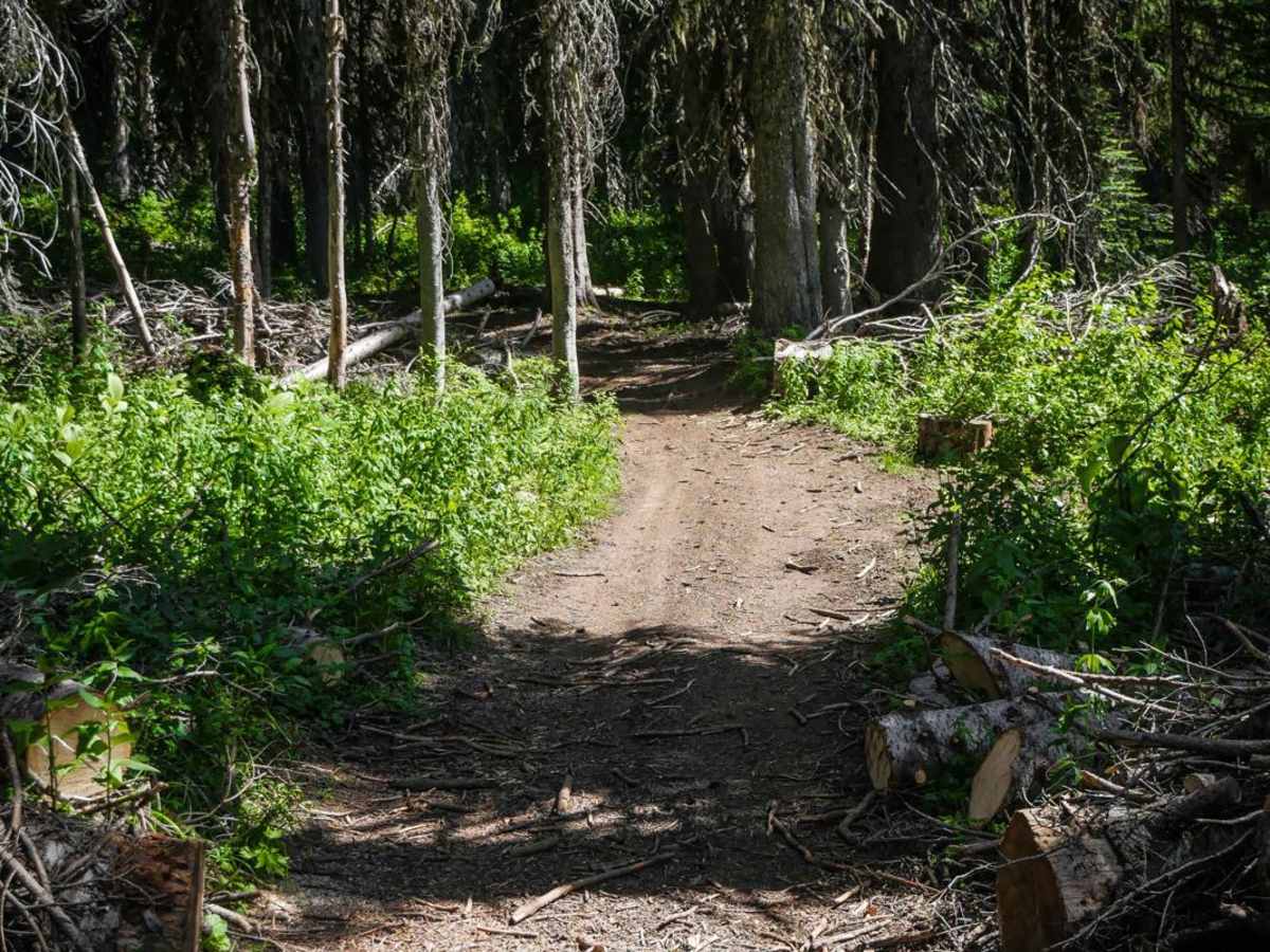 Lake Elsie ATV photo 2