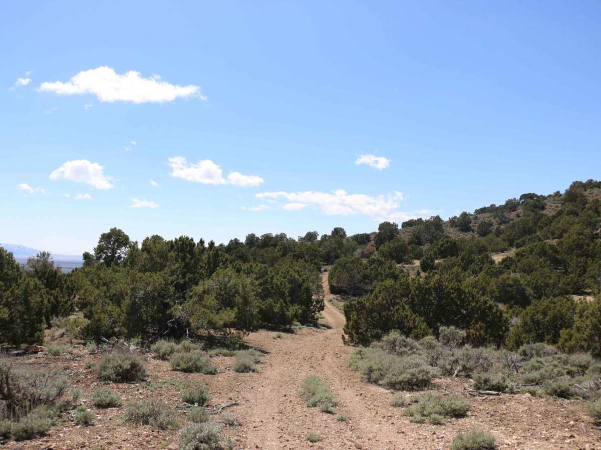 Diamond Divide photo 4