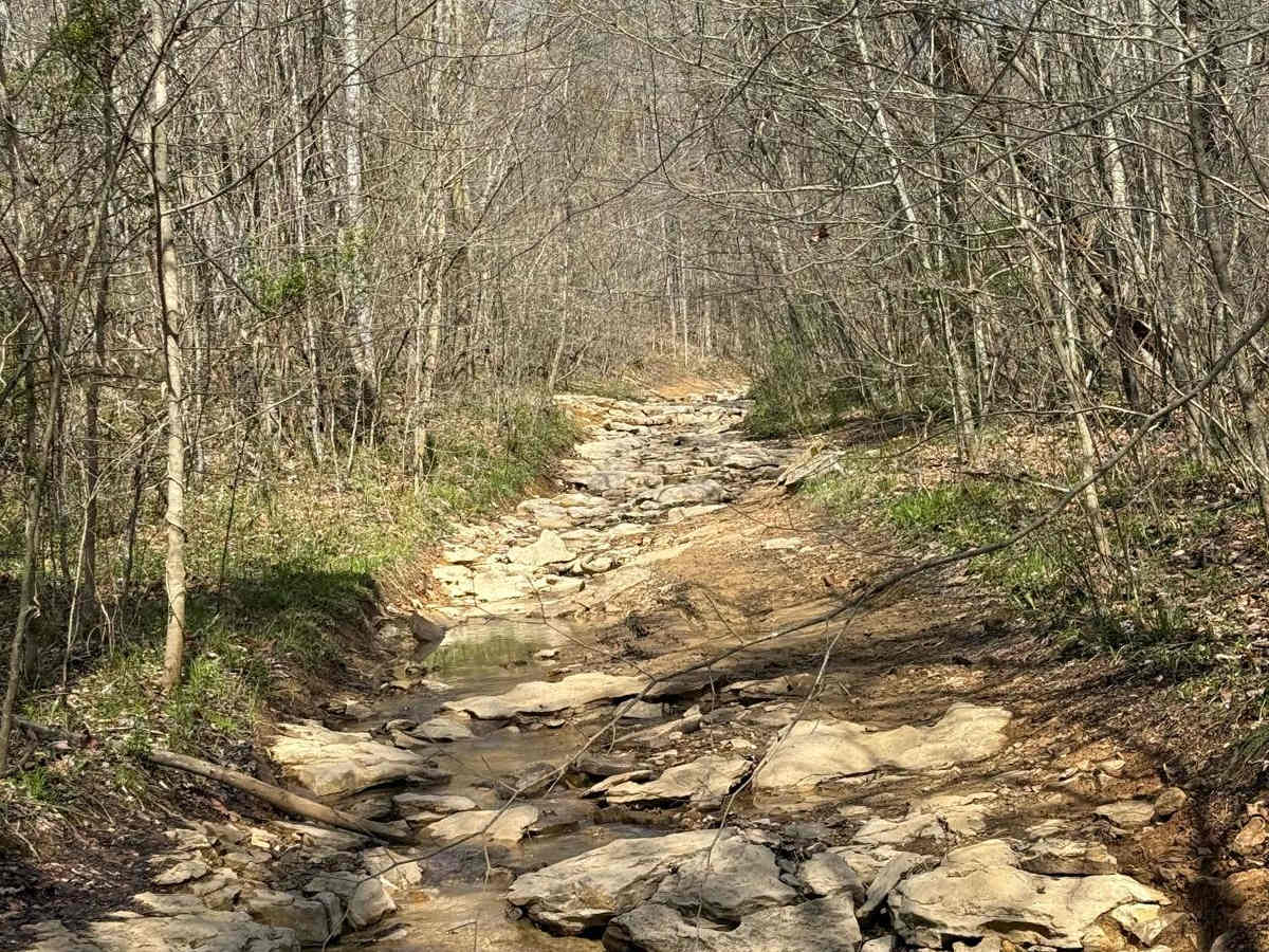 Trail 23A trail photo