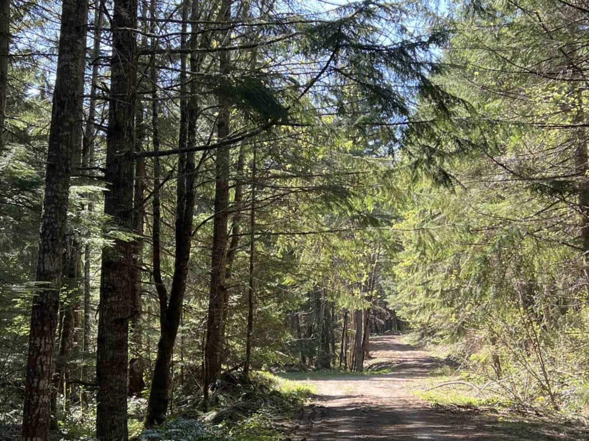 Timber Butte photo 6