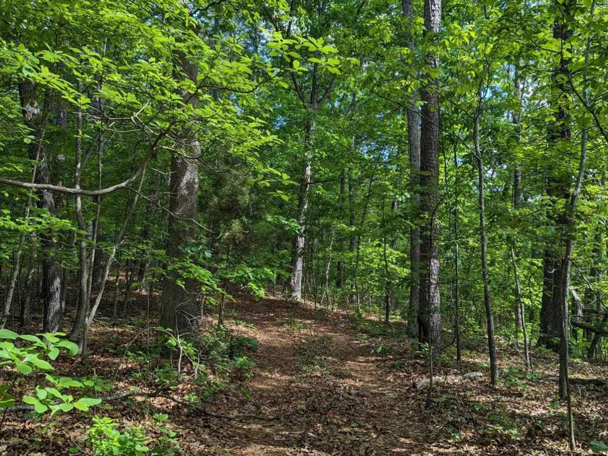 West Brown's Hollow photo 4