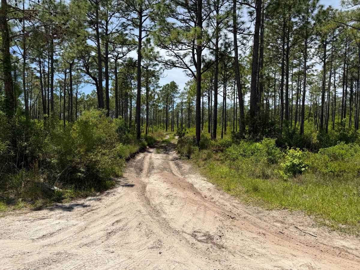 Pringle Road Spur 3 trail photo