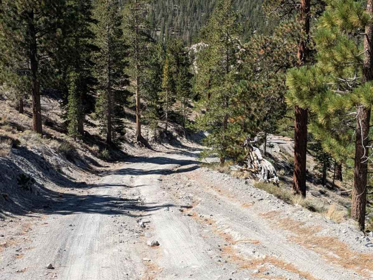 McGee Canyon West photo 6