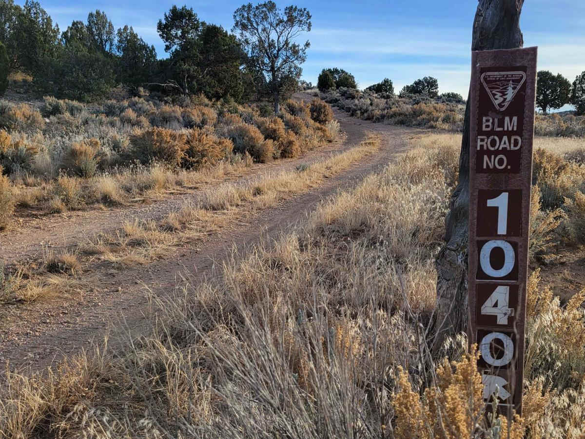 Sullivan Draw Road South - BLM 1040 photo 5