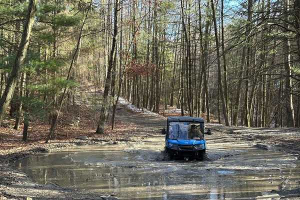 Locust Gap 36