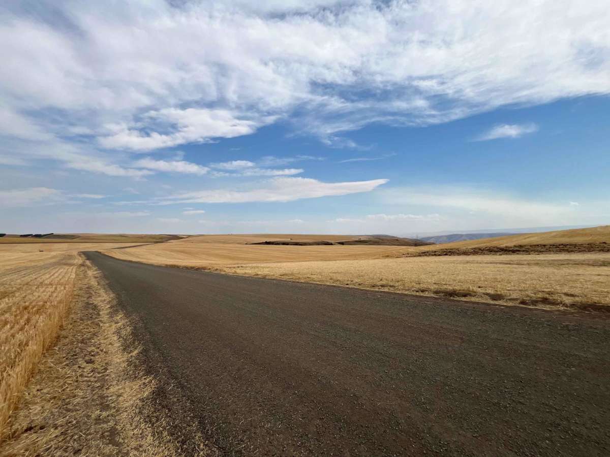 Rimrock Road photo 4