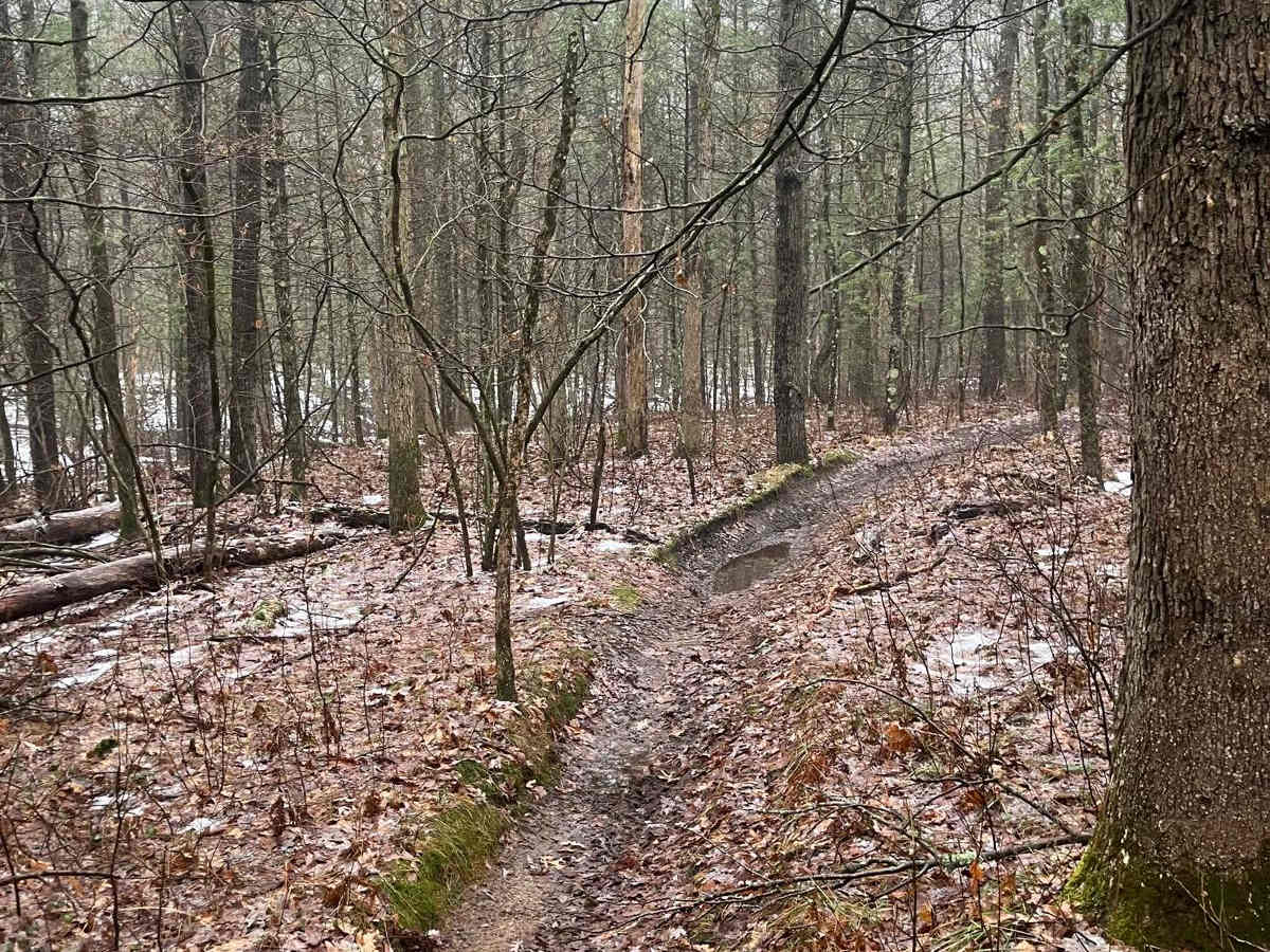 Horseshoe Motorcycle Trail Part 1 photo 4