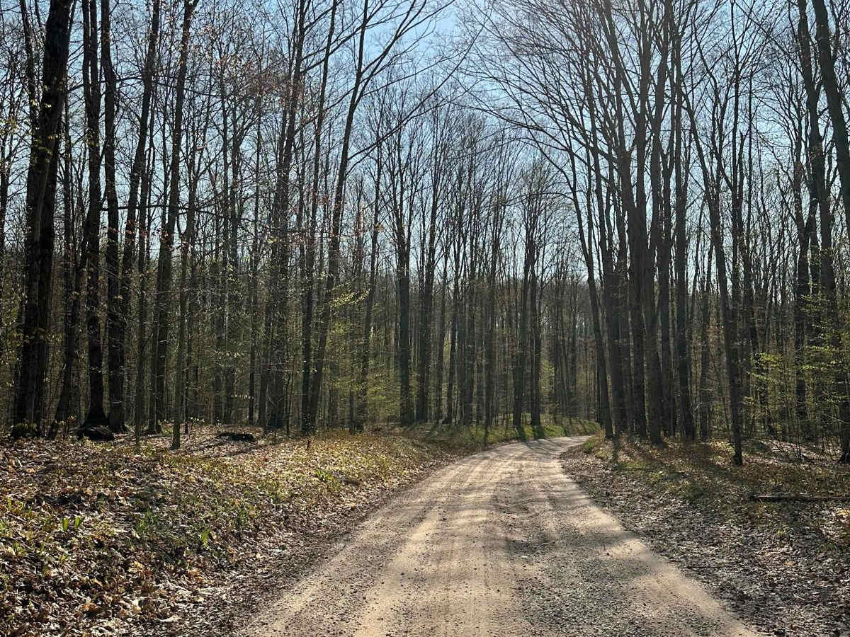 Cadillac Area ORV/OHV Scenic Ride - Part 9 photo 5