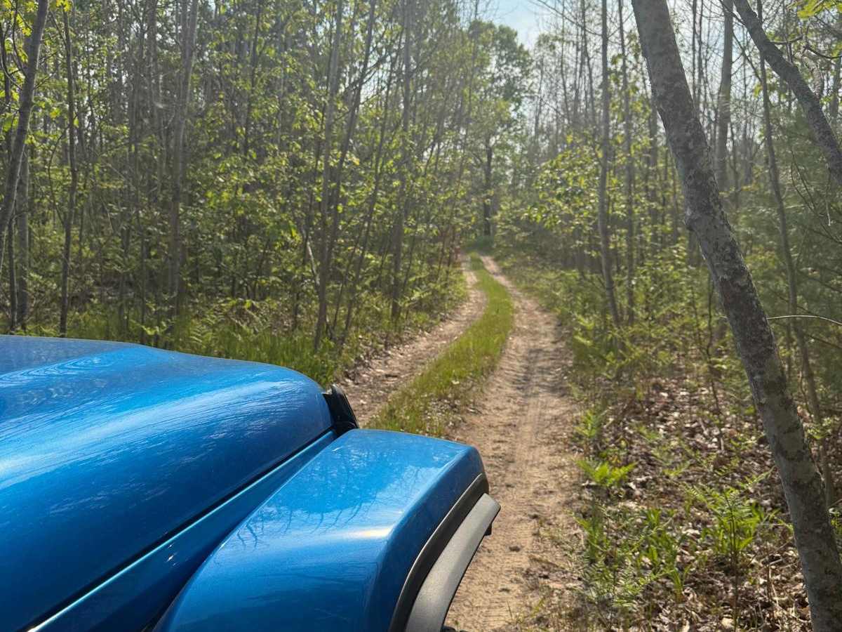 39-1/4 Trail photo 5