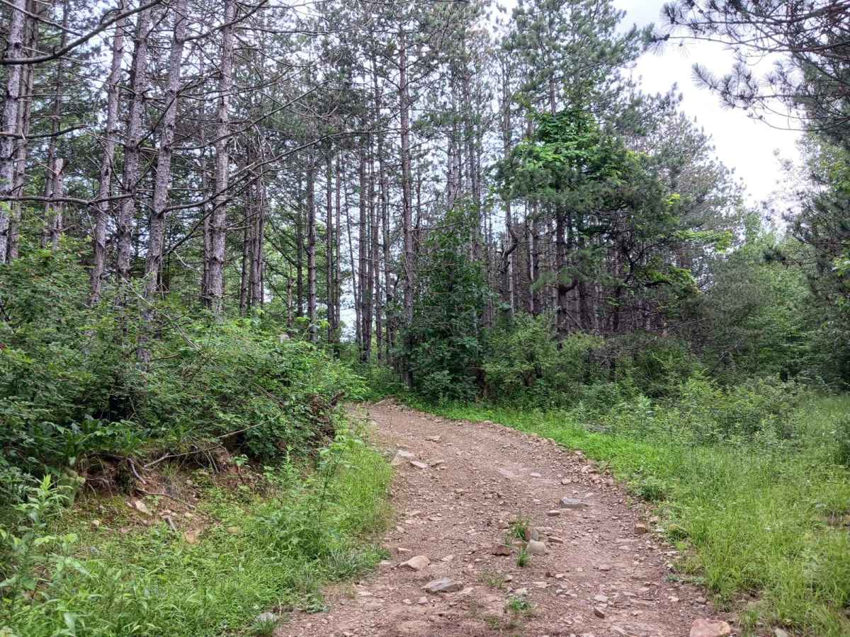 Trail 11F - Rock Run Recreation Area photo 2