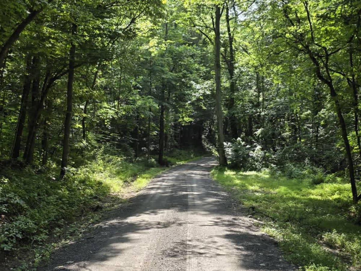 Gravley Hill Road - Macon County Tour photo 5