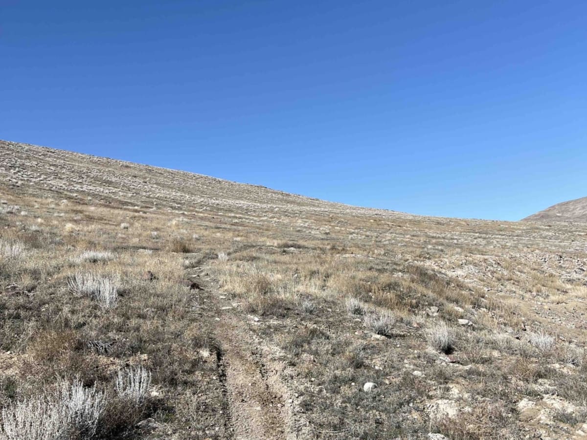 Basin Twister photo 6